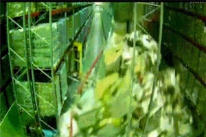 Didn't the modern forklift  accident around you cause your vigilance?