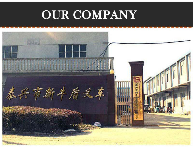 double electric pallet jack 2