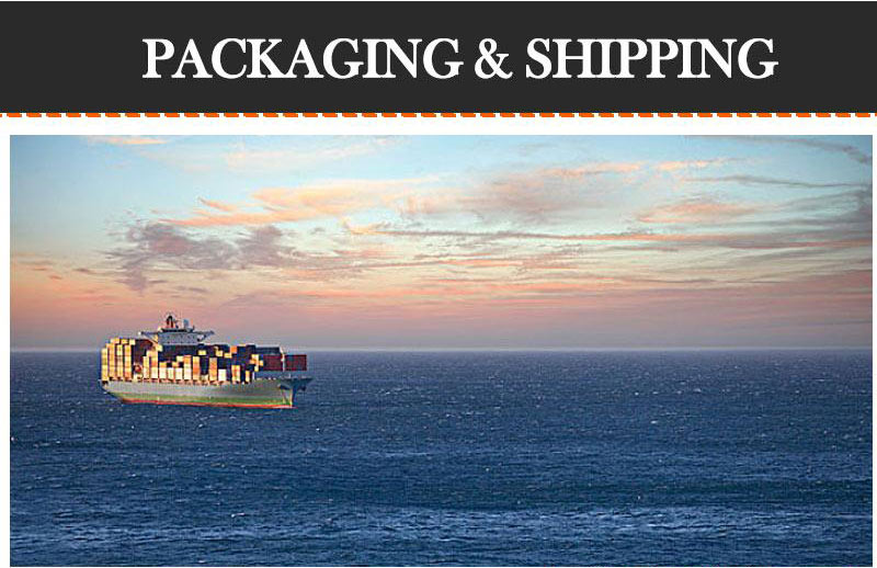 electric high lift pallet jack 2