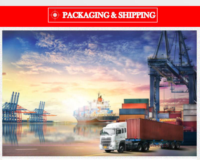 drivable pallet jack 2