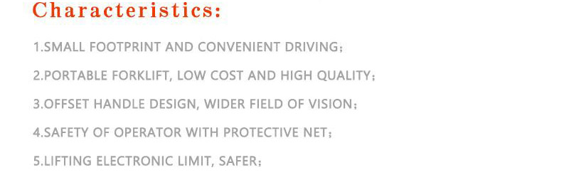 pallet truck forklift 4