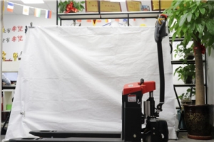 What are the advantages of the walkie pallet truck?